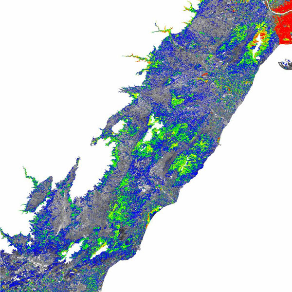 Mapa de vegetación con diferentes niveles de NDVI